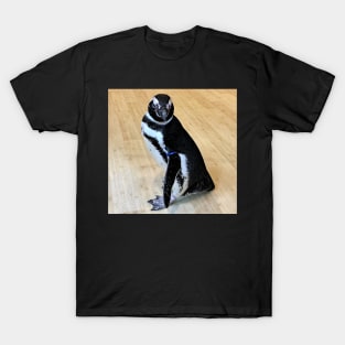 Penguin T-Shirt